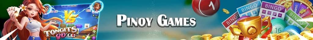 sudoku solver asset nyt
